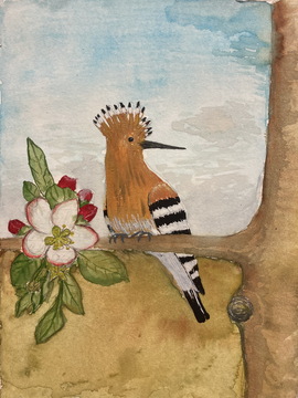 Smrdokavra - vodeb, akvarel, 30x20 cm, 2025, Franc Smrkolj